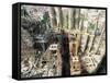 Sagrada Familia, Gaudi's Cathedral, Barcelona, Catalonia, Spain-R H Productions-Framed Stretched Canvas