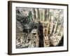 Sagrada Familia, Gaudi's Cathedral, Barcelona, Catalonia, Spain-R H Productions-Framed Photographic Print