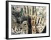 Sagrada Familia, Gaudi's Cathedral, Barcelona, Catalonia, Spain-R H Productions-Framed Photographic Print