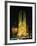 Sagrada Familia, the Gaudi Cathedral, Illuminated at Night in Barcelona, Cataluna, Spain-Nigel Francis-Framed Photographic Print