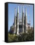 Sagrada Familia Towers and Spires, UNESCO World Heritage Site, Barcelona, Catalonia, Spain, Europe-null-Framed Stretched Canvas