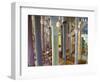 Sagrada Familia, UNESCO World Heritage Site, Barcelona, Catalonia, Spain, Europe-Mark Mawson-Framed Photographic Print