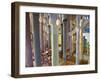 Sagrada Familia, UNESCO World Heritage Site, Barcelona, Catalonia, Spain, Europe-Mark Mawson-Framed Photographic Print