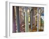 Sagrada Familia, UNESCO World Heritage Site, Barcelona, Catalonia, Spain, Europe-Mark Mawson-Framed Photographic Print