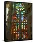 Sagrada Familia, UNESCO World Heritage Site, Barcelona, Catalonia, Spain, Europe-Mark Mawson-Framed Stretched Canvas