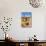 Saguaro and Cholla Cacti in the Arizona Desert-hpbfotos-Mounted Photographic Print displayed on a wall