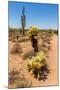 Saguaro and Cholla Cacti in the Arizona Desert-hpbfotos-Mounted Photographic Print