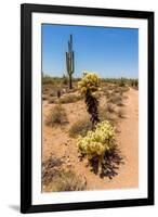 Saguaro and Cholla Cacti in the Arizona Desert-hpbfotos-Framed Photographic Print