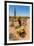 Saguaro and Cholla Cacti in the Arizona Desert-hpbfotos-Framed Photographic Print