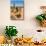 Saguaro and Cholla Cacti in the Arizona Desert-hpbfotos-Mounted Photographic Print displayed on a wall