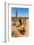 Saguaro and Cholla Cacti in the Arizona Desert-hpbfotos-Framed Photographic Print