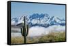 Saguaro and Four Peaks-raphoto-Framed Stretched Canvas