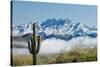 Saguaro and Four Peaks-raphoto-Stretched Canvas