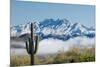 Saguaro and Four Peaks-raphoto-Mounted Photographic Print