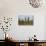 Saguaro and Prickly Pear, Rincon District, Saguaro NP, Arizona, Usa-Michel Hersen-Photographic Print displayed on a wall