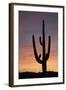 Saguaro at Sunset, Tonto National Forest Arizona, USA-Jamie & Judy Wild-Framed Photographic Print