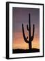 Saguaro at Sunset, Tonto National Forest Arizona, USA-Jamie & Judy Wild-Framed Photographic Print