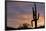 Saguaro at Sunset, Tonto National Forest Arizona, USA-Jamie & Judy Wild-Framed Photographic Print