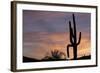 Saguaro at Sunset, Tonto National Forest Arizona, USA-Jamie & Judy Wild-Framed Photographic Print