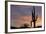 Saguaro at Sunset, Tonto National Forest Arizona, USA-Jamie & Judy Wild-Framed Photographic Print