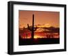 Saguaro at Sunset-James Randklev-Framed Premium Photographic Print