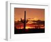 Saguaro at Sunset-James Randklev-Framed Premium Photographic Print