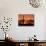 Saguaro at Sunset-James Randklev-Photographic Print displayed on a wall
