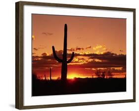 Saguaro at Sunset-James Randklev-Framed Photographic Print