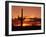 Saguaro at Sunset-James Randklev-Framed Photographic Print