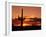 Saguaro at Sunset-James Randklev-Framed Photographic Print