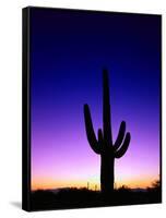 Saguaro at Twilight-James Randklev-Framed Stretched Canvas