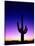 Saguaro at Twilight-James Randklev-Stretched Canvas