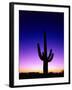 Saguaro at Twilight-James Randklev-Framed Photographic Print