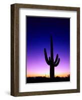 Saguaro at Twilight-James Randklev-Framed Photographic Print