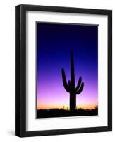 Saguaro at Twilight-James Randklev-Framed Photographic Print