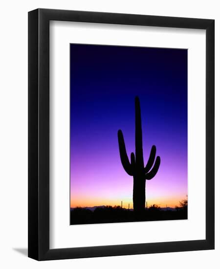 Saguaro at Twilight-James Randklev-Framed Photographic Print