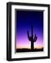 Saguaro at Twilight-James Randklev-Framed Photographic Print