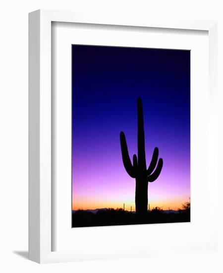 Saguaro at Twilight-James Randklev-Framed Photographic Print