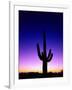 Saguaro at Twilight-James Randklev-Framed Photographic Print