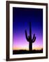 Saguaro at Twilight-James Randklev-Framed Photographic Print