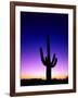 Saguaro at Twilight-James Randklev-Framed Photographic Print