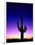 Saguaro at Twilight-James Randklev-Framed Photographic Print