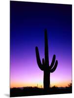 Saguaro at Twilight-James Randklev-Mounted Photographic Print