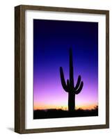 Saguaro at Twilight-James Randklev-Framed Photographic Print