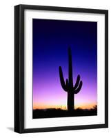 Saguaro at Twilight-James Randklev-Framed Photographic Print