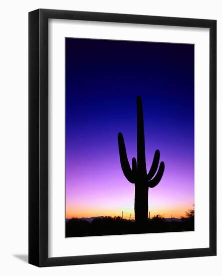 Saguaro at Twilight-James Randklev-Framed Photographic Print