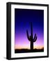 Saguaro at Twilight-James Randklev-Framed Photographic Print