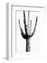 Saguaro Black & White I-Mia Jensen-Framed Photo