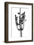 Saguaro Black & White II-Mia Jensen-Framed Photo