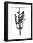 Saguaro Black & White II-Mia Jensen-Framed Photo